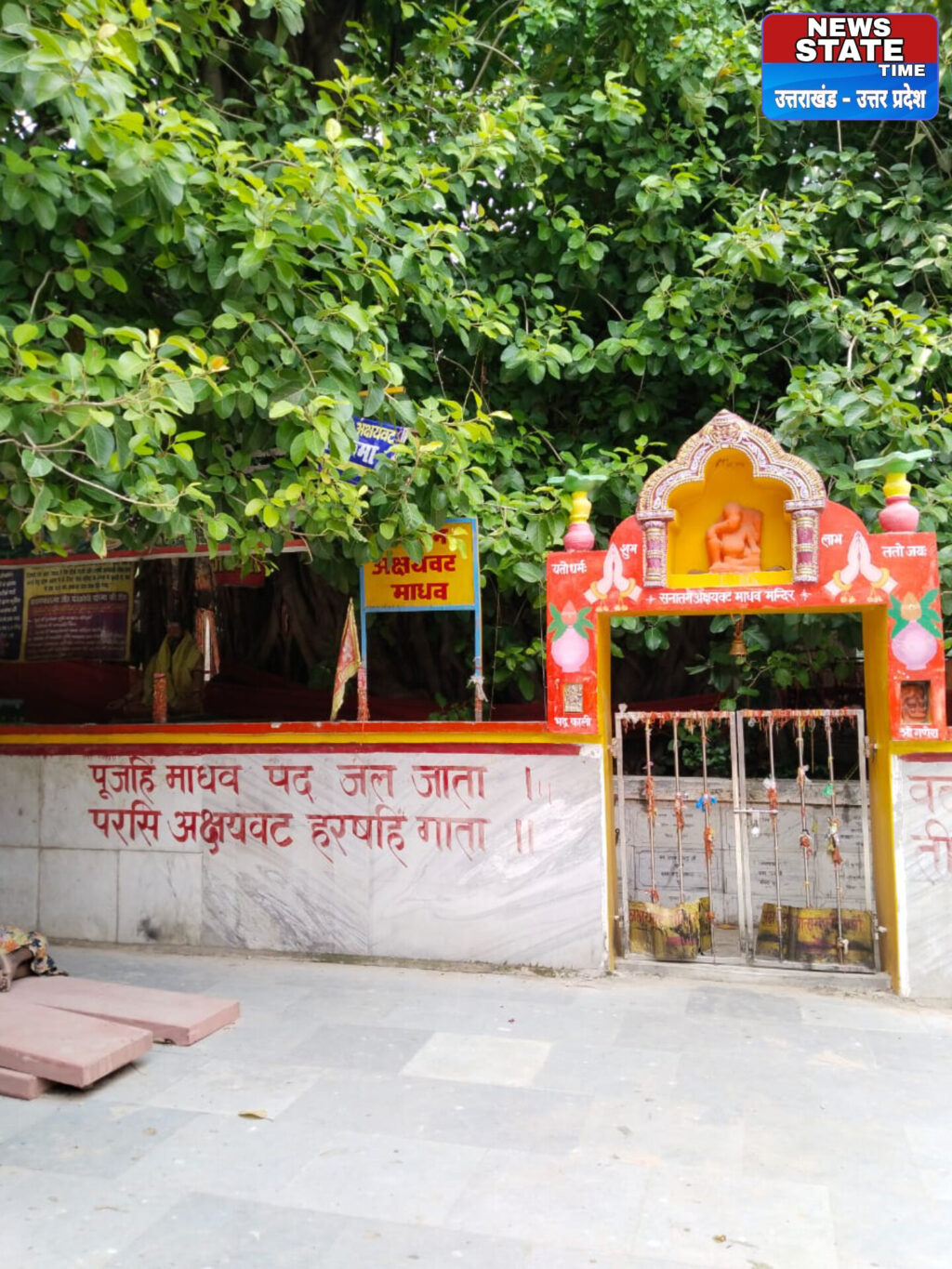 InShot_20241018_171357853