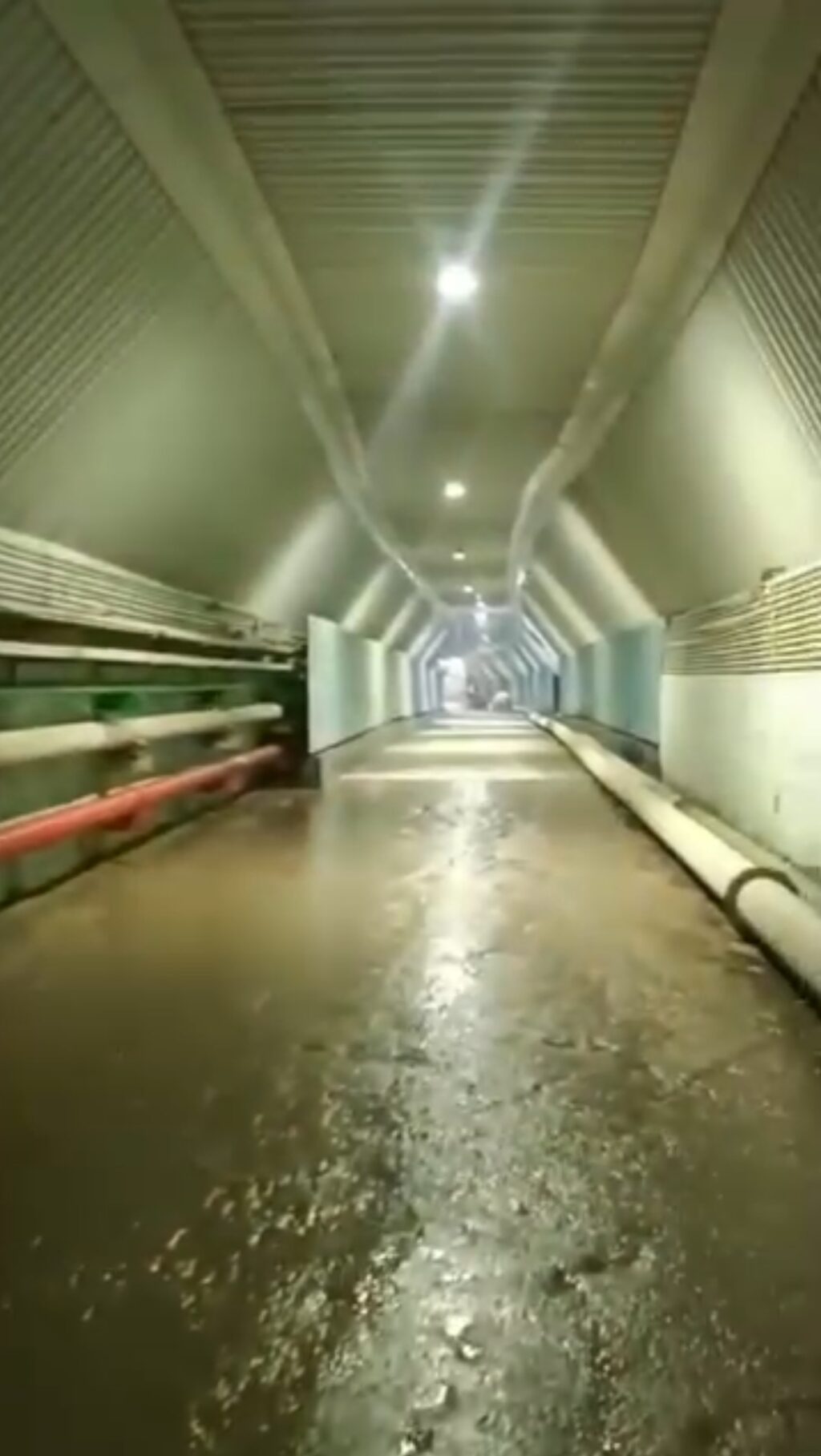 Screenshot_20250831_173056_WhatsApp