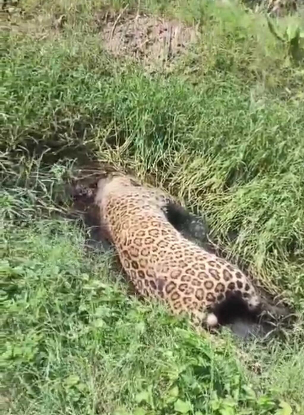 Screenshot_20250908_072004_WhatsApp